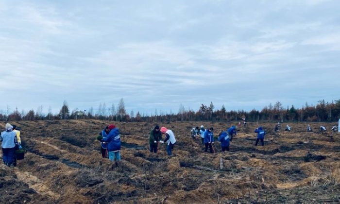 Нижегородские активисты «Единой России» приняли участие в акции «Сохраним лес»