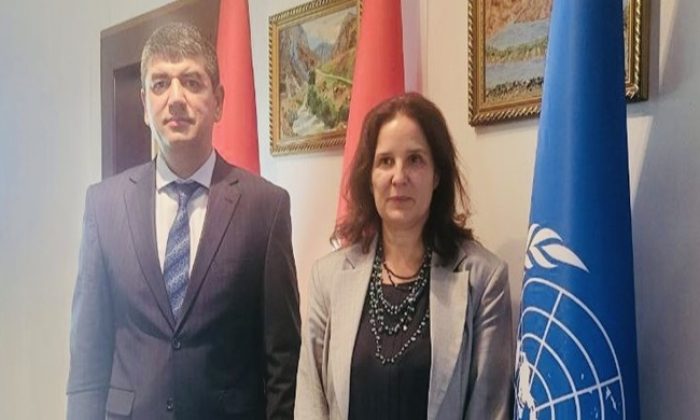 Meeting with the Regional Director of the International Labour Organization