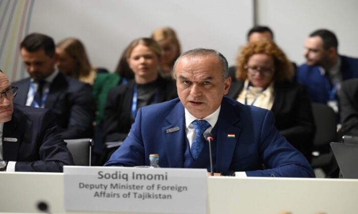 Participation of the Deputy Minister of Foreign Affairs in the 30th OSCE Ministerial Council
